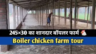 Boiler Poultry Farm Tour 2026 | 245&times;30 Size | 5500 Birds Capacity | Full Details Hindi