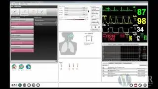 Utilizing Color Coding in Laerdal's LLeap Software