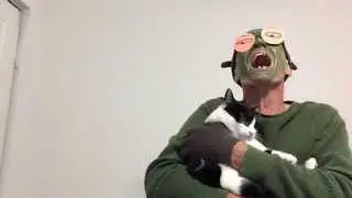 Black Cat Day?@#^Shrek?@#^Ray Sipe;Comedy;Parody