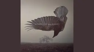 Wide Awake in Quietus (Bonus)