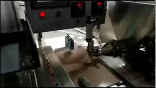 PTFE conveyor belt