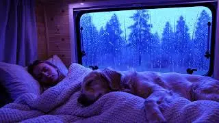Gentle Sleep Aid with Rain and Thunder Natural White Noise