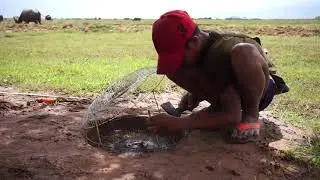 DIY Bird Trap Technology   Learning to make Bird Trap using Electric Fan