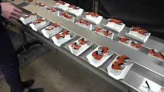 PFM Model Pearl Horizontal Flow Wrapper Demonstration
