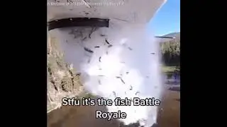 Fish Battle Royale