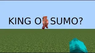 Top sumo player