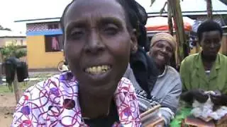 Wild Animals Attack Bakery in Rwanda!  Lions!