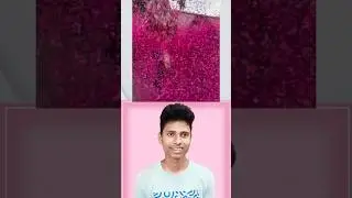 best dance in shaadi 57284 reaction video #funny #comedy #shorts #shortsfeed part- 17
