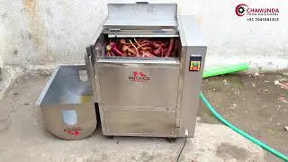 Automated Carrot Washing Machine | onion peeling machine