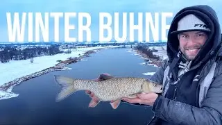 Stapelweise Fisch in diesen Buhnen. So f&auml;ngst Du auch im Winter am Fluss