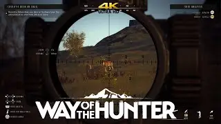 Could've Been An Email | Way Of The Hunter Lintukoto Reserve Story Mission No Commentary
