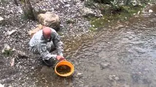 Poribljavanje Rzava