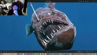 I Rate Fish Mouths Pt. 2