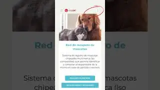 Sincronizaci&oacute;n de placa QR con su microchip Datamars