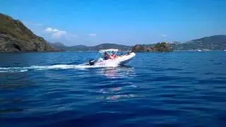 marsea sp100