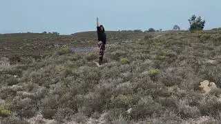 Arizona dream
