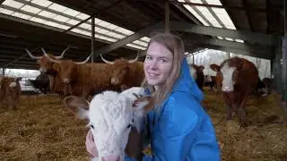 Rainwear at work with cute calf
