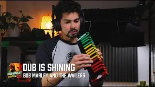 Dub Is Shining | Bob Marley Melodica Cover