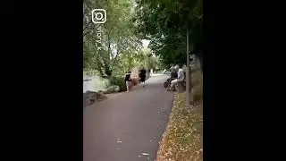 Plimbare &icirc;n parcul Moghioroș din Dr. Taberei 🍀💚