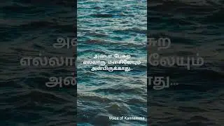 அன்பு ! | Motivation | Voice of Kannamma | #shorts #tamil #motivational #motivation #lifelessons