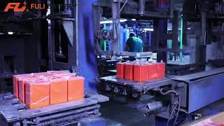 Fuli Battery 🏭 | VIP Factory