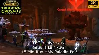 WoW TBC Anniversary | Gruul's Lair PuG 18 Min Run | Holy Paladin PoV | 2K