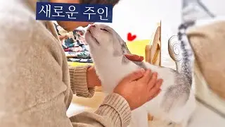 보라의 입양처가 정해졌어요🏠 (ft.내가 못키우는 이유...)