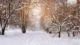 Winter Classical Music: Tchaikovsky, Vivaldi, Mussorgsky, Smetana