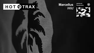 Marcellus - Wild