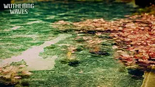 Wuthering Waves Archive - Reclaimed by Water and Cherry Blossoms
