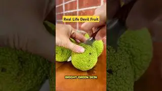 Osage Orange - Real Life Gomu Devil Fruit #fruits #nature