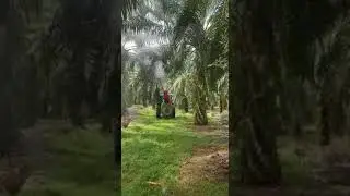 DiPel Bagworm Tractor Mounted Sprayer