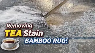 Deep Carpet Cleaning That Will Satisfy You | Before & After