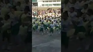 GSP bumblebee dance contest #trending #dance #tiktok #viral #viralvideo #video