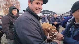 17 января 2026 г.