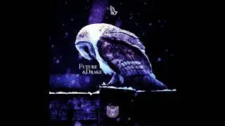 Drake x Future What A Time To Be Alive 2 Type Sample Beat