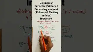 Distinguish between (primary and secondary) & ( primary & Tertiary amines)# Class-12 # NEET# K CET