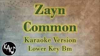 Zayn - Common Karaoke Instrumental Lyrics Cover Lower Key Bm