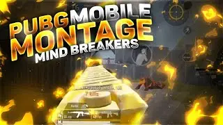 NIKILL IS BACKKKK.          AR MONTAGE