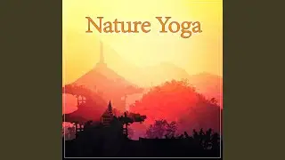 Yoga Poses
