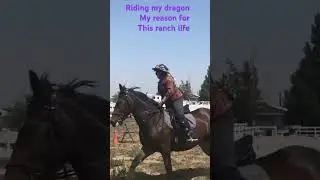 Full ranch videos on my YouTube channel at Cally sumpter #horse #equestrian #ranch #farming
