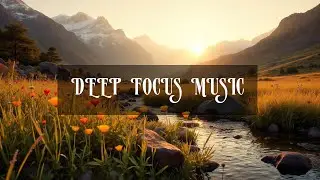 Deep Focus Music for a Distraction-Free Environment  ➤ Harmonic Study Zone  ➤