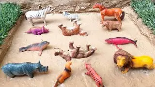 Cleaning toy animal dolfin, sharks, lion, tiger, rhino, fox, elephant, horsh, zebra, and buffalo