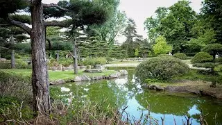 50 Jahre Japanischer Garten im Nordpark