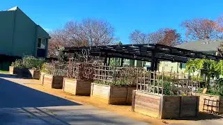 Đi dạo tham quan khu chung cư Người Việt ở Thành Phố San Jose, California @thitruongcali 