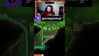 #terraria #shorts: I don't know what happened? | grantsgaming1 on #Twitch