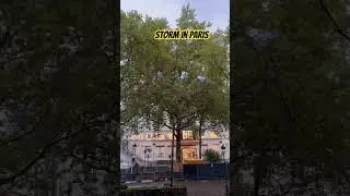 #windy #rainyday #storm #paris #france #morning #shortvideo #videoshort  #video #videoshorts