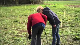 The Trees Enriching Communities Project - Biffa Award and Woodland Trust