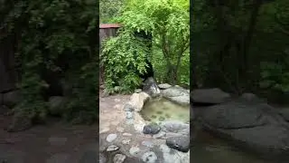 RURAL JAPAN Buddhist Temple Experience