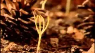 ARARICH ERKNQI_mpeg4.mp4